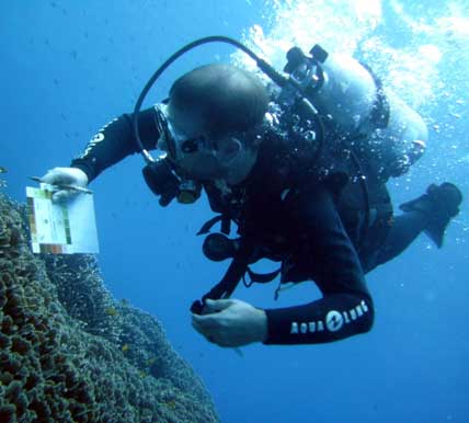 marine ecotourism in thailand